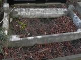 image of grave number 217618